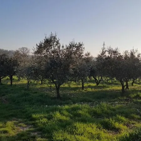 App Stancija Padovan 2 Appartamento Porec